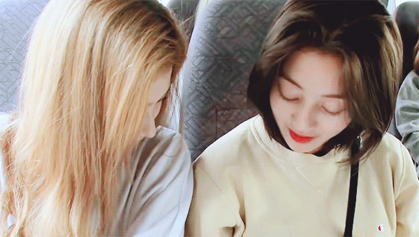 정열대륙 트와이스 사나 지효 모모 나연 [데이터]