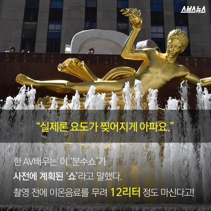 성급한 야동의 오류