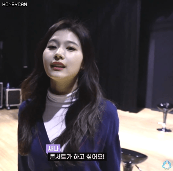 톳티비 원스와 가족사진 찍기