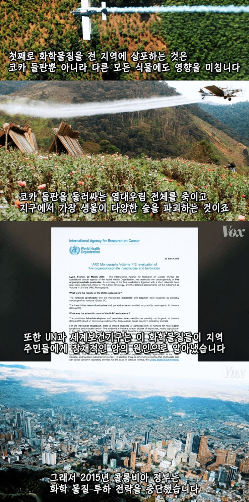 콜롬비아가 코카인 전쟁에서 지고 있는 이유