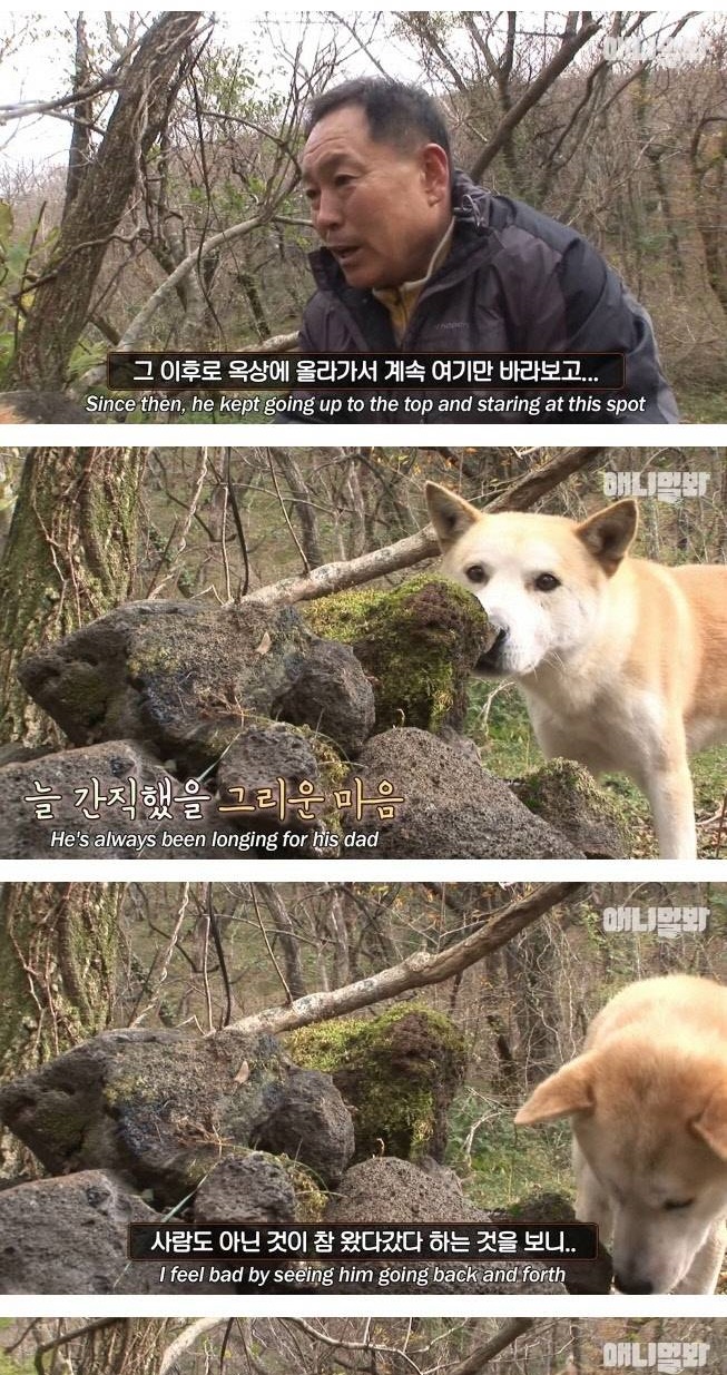 어린 황구가 죽은 아빠를 매일 만나는 방법