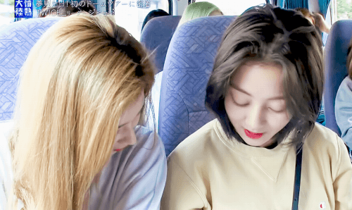 정열대륙 트와이스 사나 지효 모모 나연 [데이터]