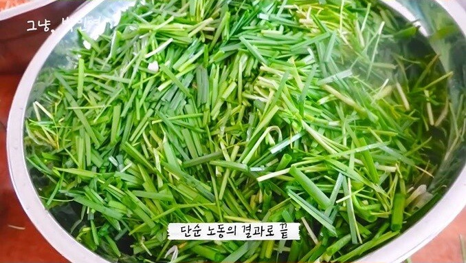 박민영이 알려주는 고추김치 맛있게 담그는 법