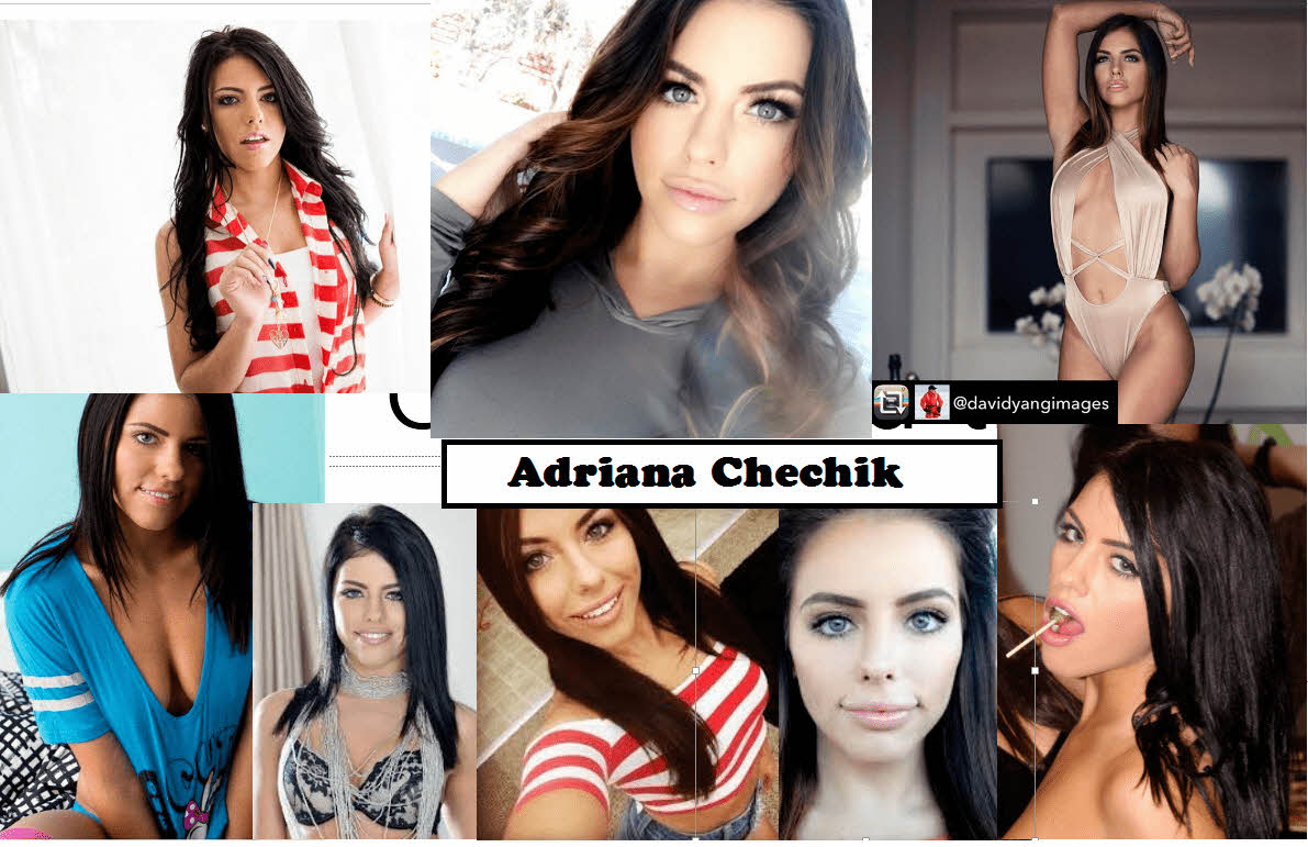 S급 서양 배우 확장판