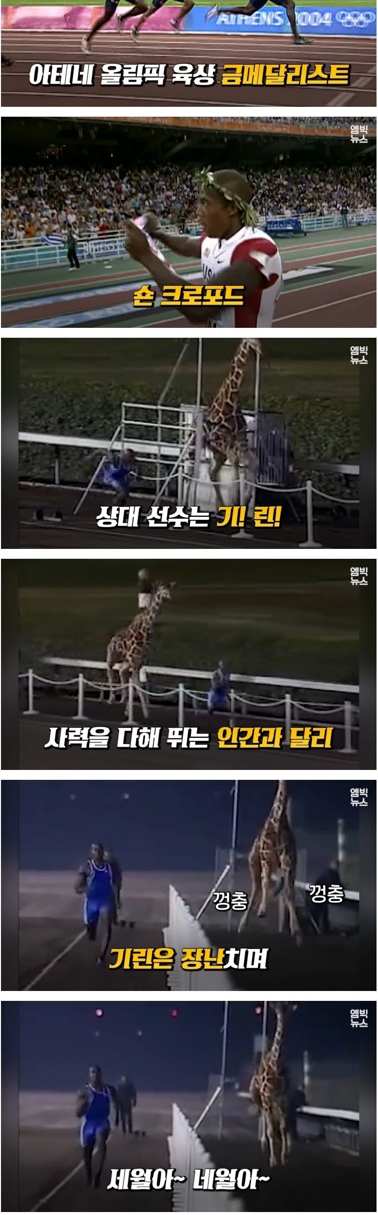 인간 VS 동물 기상천외한 승부