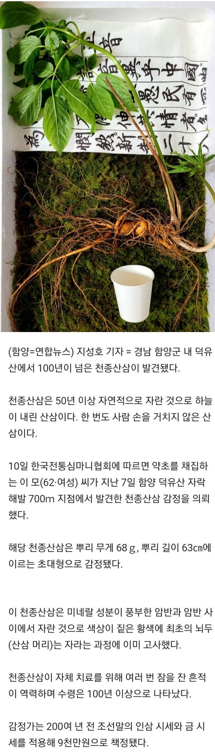 9천만원짜리 심봤다