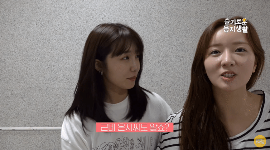 아이돌의 삶은 원래 이렇게 바쁜가요? 부캐 부자 Apink 은지의 하루 데이터~~