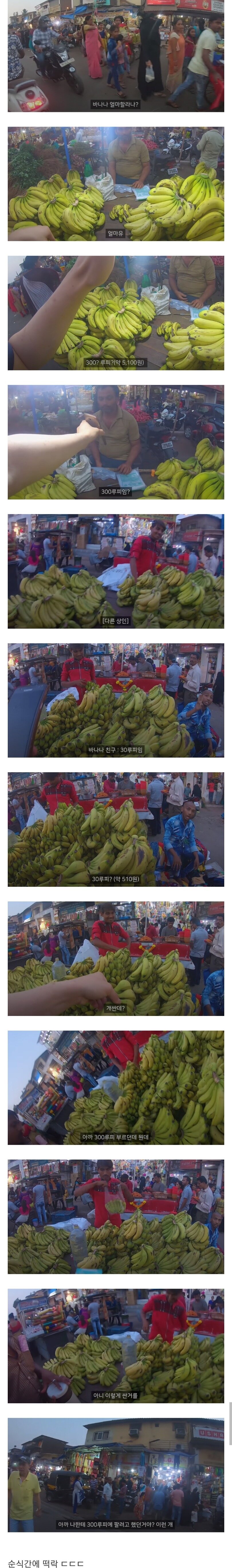카레국의 바나나 가격