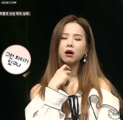 대한외국인 솔지