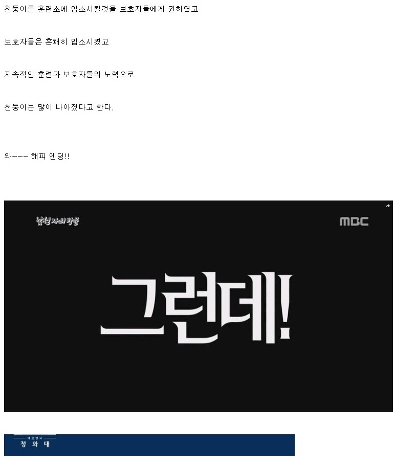 개통령 동물학대 논란