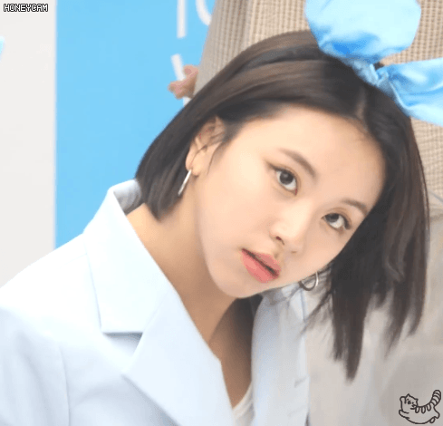 포카리 쯔위 채영