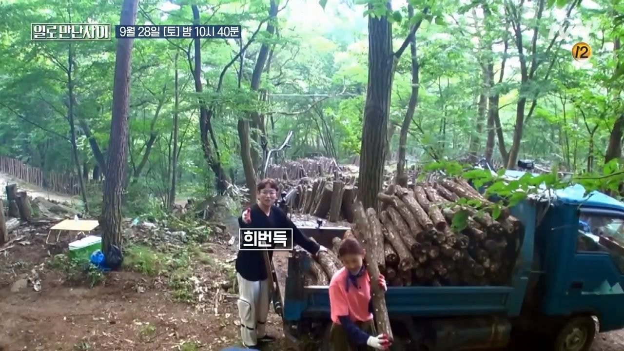 워크맨 표절 논란