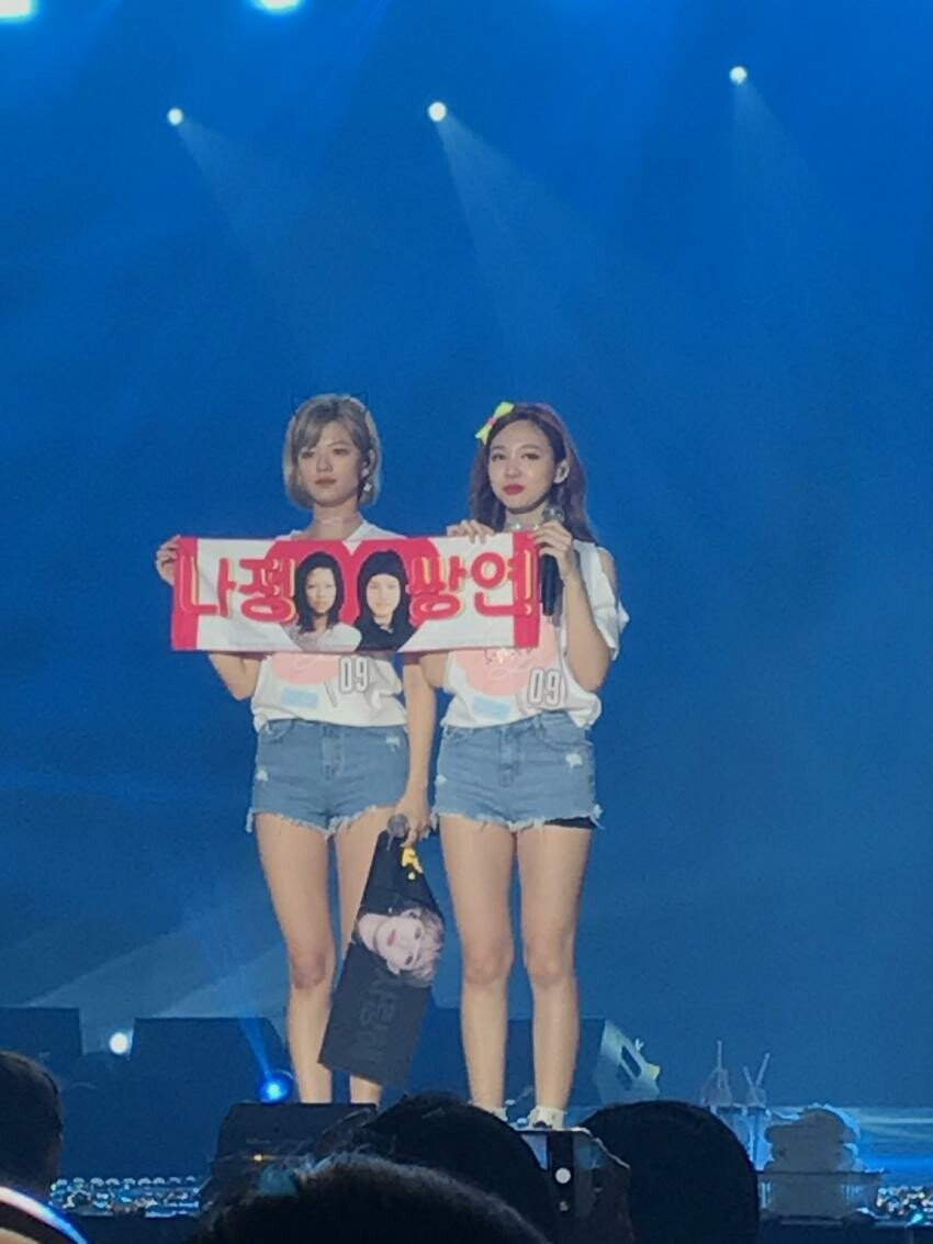 트와이스 애증의 쌍연 나연,정연