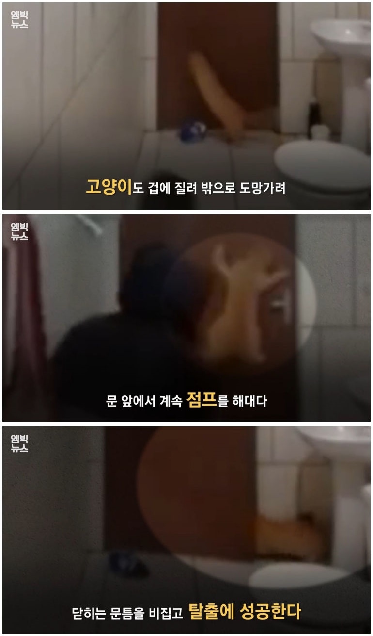 세계 곳곳 주요 도시에 창궐 중