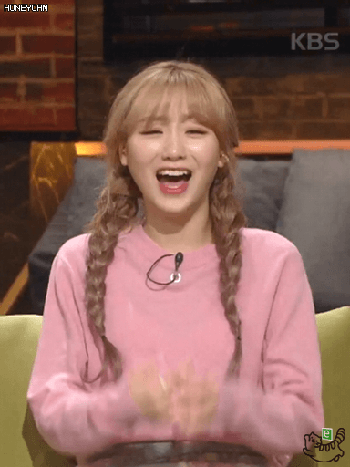 배틀트립 케이 지수 수정