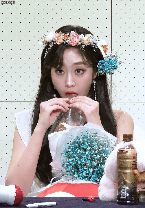 귀염 터지는 여우