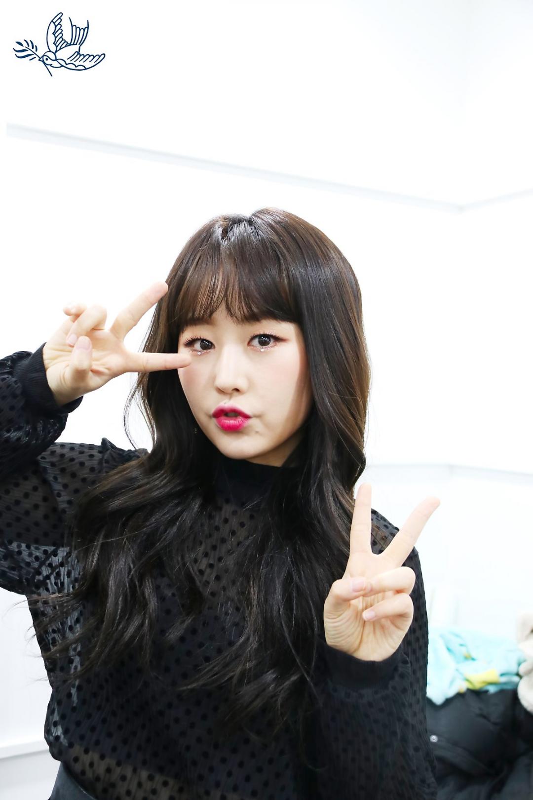 Lovelyz 소중했던 기억들로 Rewind 스압~