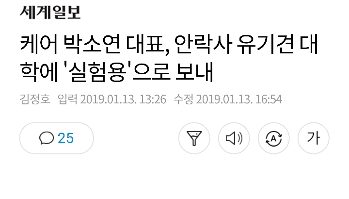 동물 애호가가 하는 일