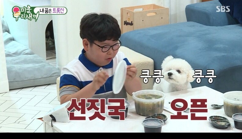 12살 모태솔로의 이상형