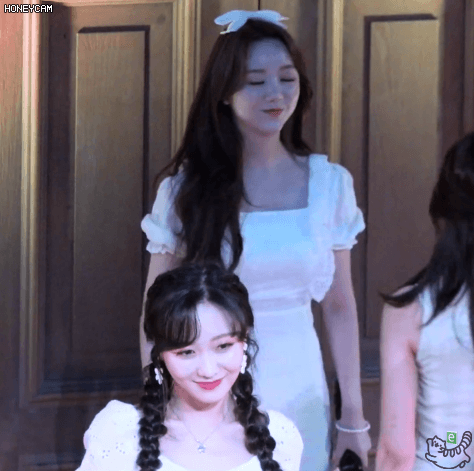 리본 케이