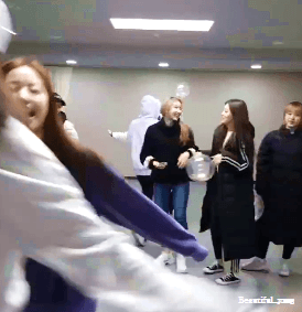 귀여운짓하는 워뇽이~