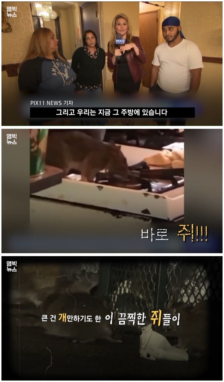 세계 곳곳 주요 도시에 창궐 중