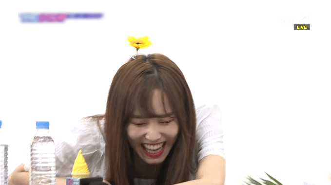 행덕라이브 여자친구