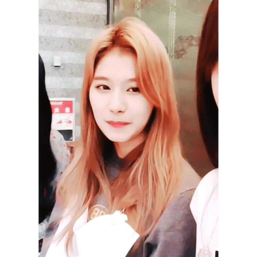 오늘자 브이앱 트와이스 미나 사나 모모 [108mb]