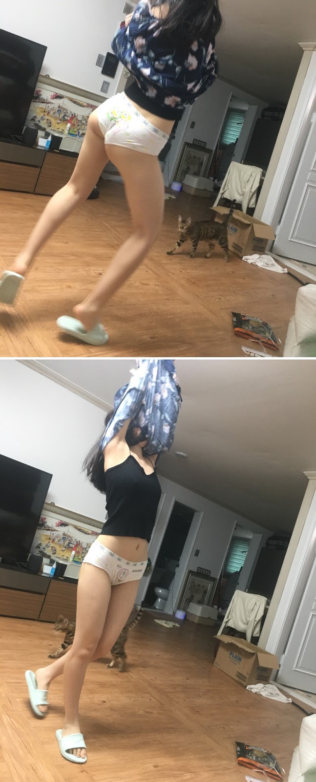 알차게 올려보는 후방