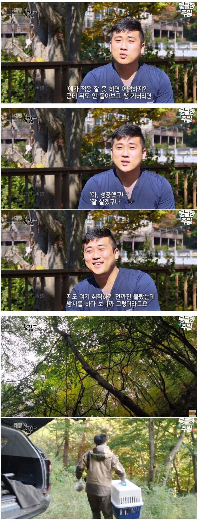 어린 삵을 자연으로 돌려보내는 수의사