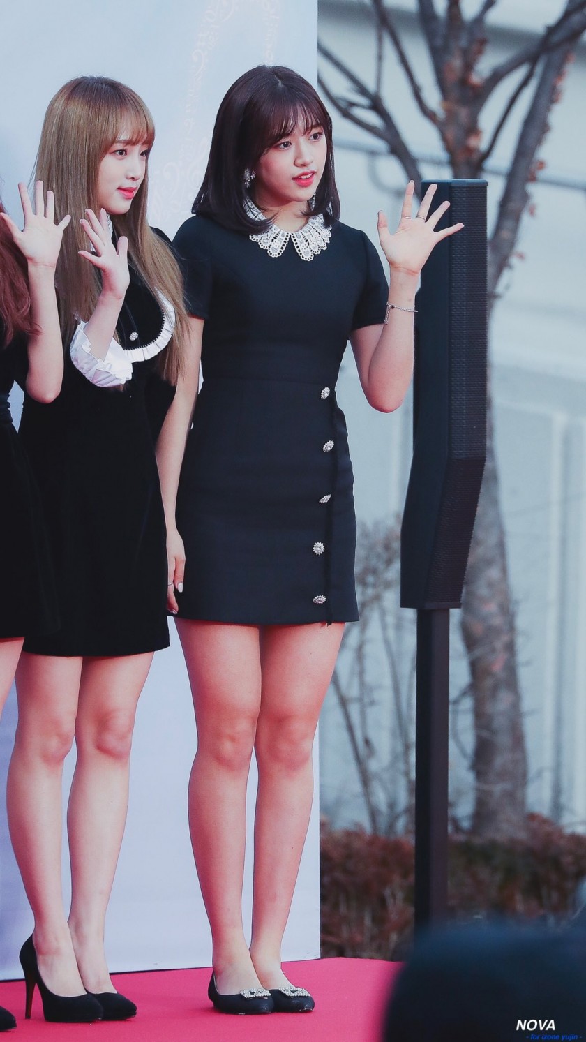 권은비 안유진 (31장)