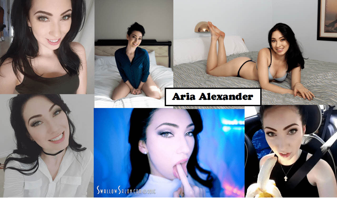 S급 서양 배우 확장판