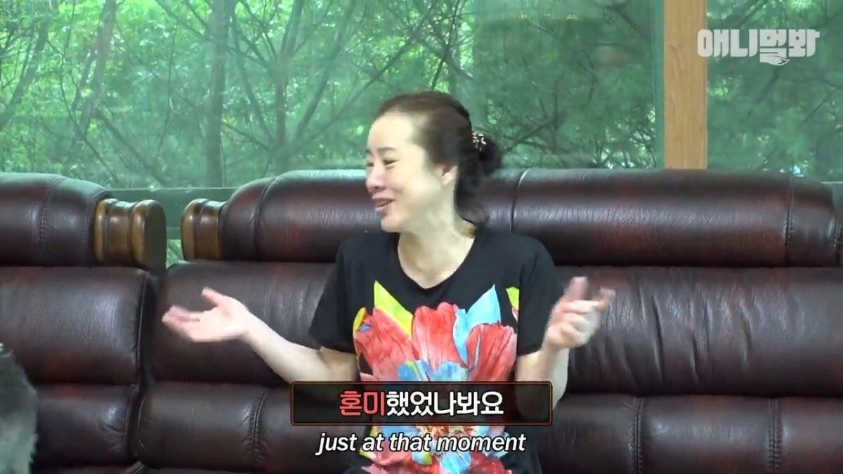 희귀 견종 말스키