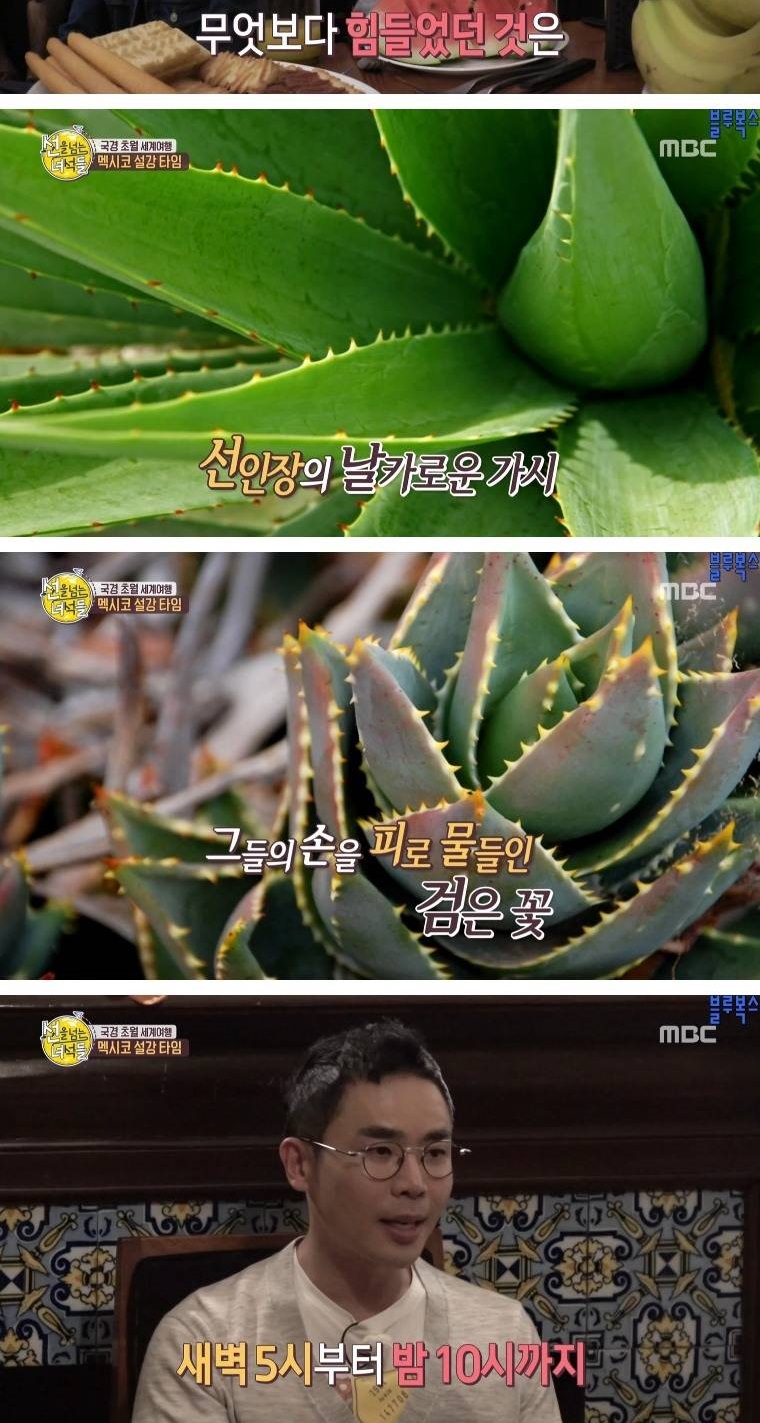 멕시코로 갔던 첫 조선인들