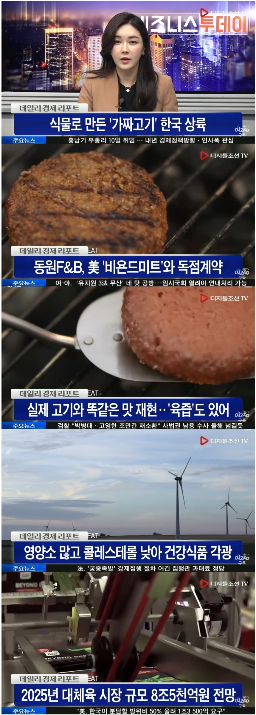 식물로 만든 고기 국내 상륙