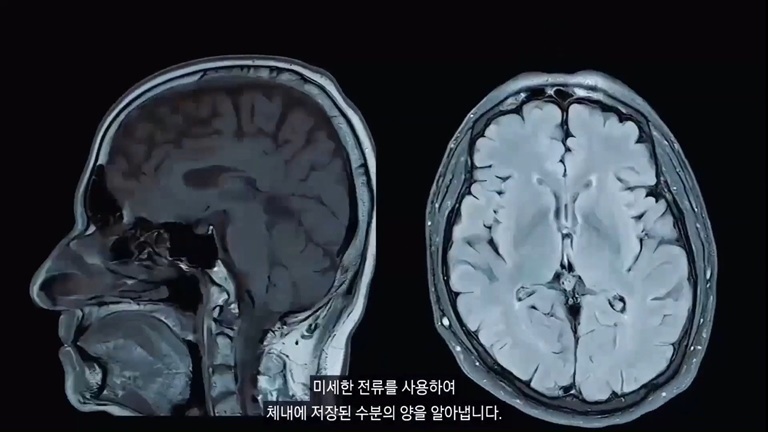 갤럭시 워치4 인바디 측정 원리