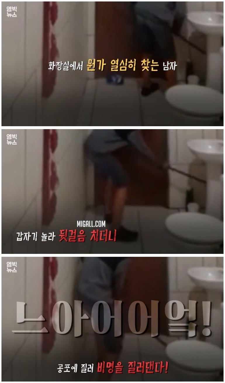 세계 곳곳 주요 도시에 창궐 중