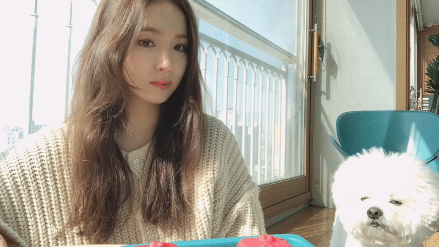 신세경 - 10일간의 배부른 챌린지 기록 (쿠키영상 있음)