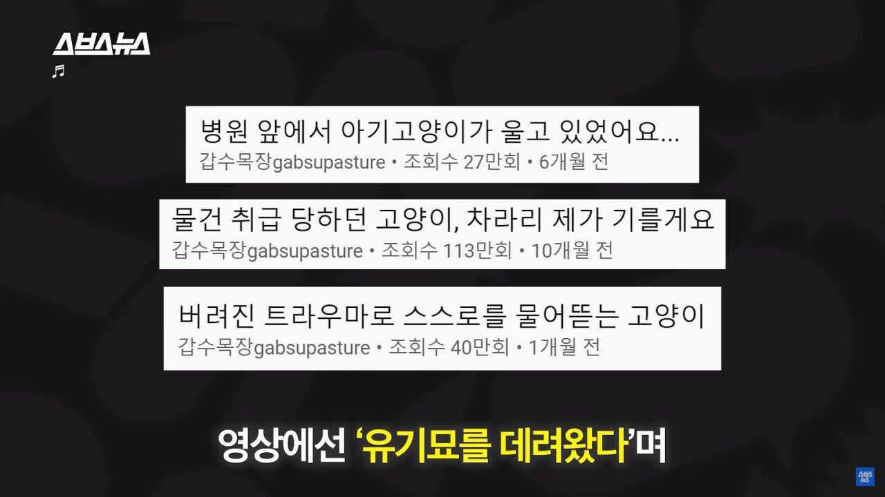 가지각색 무서운 사람의 정의