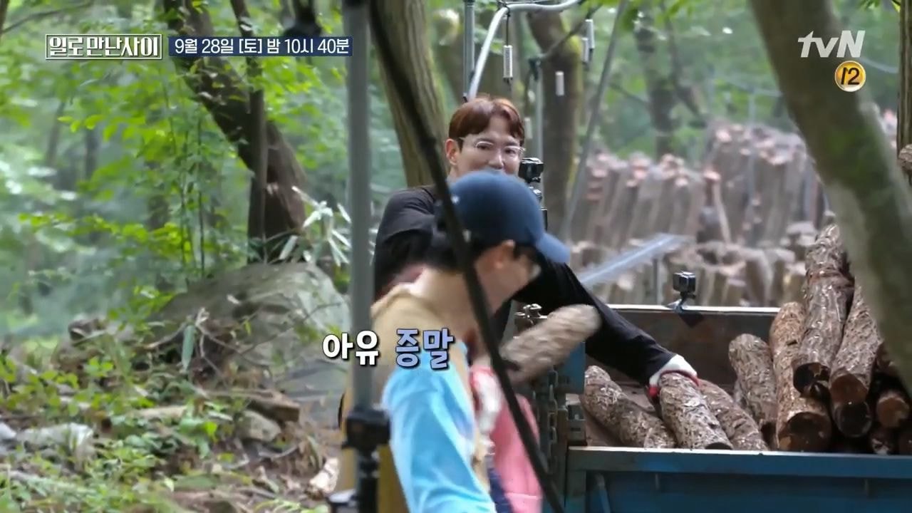 워크맨 표절 논란