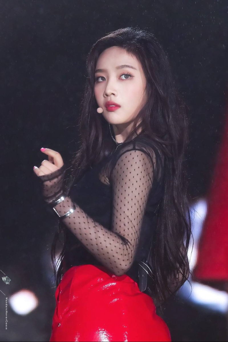 jpgif 레드벨벳 조이