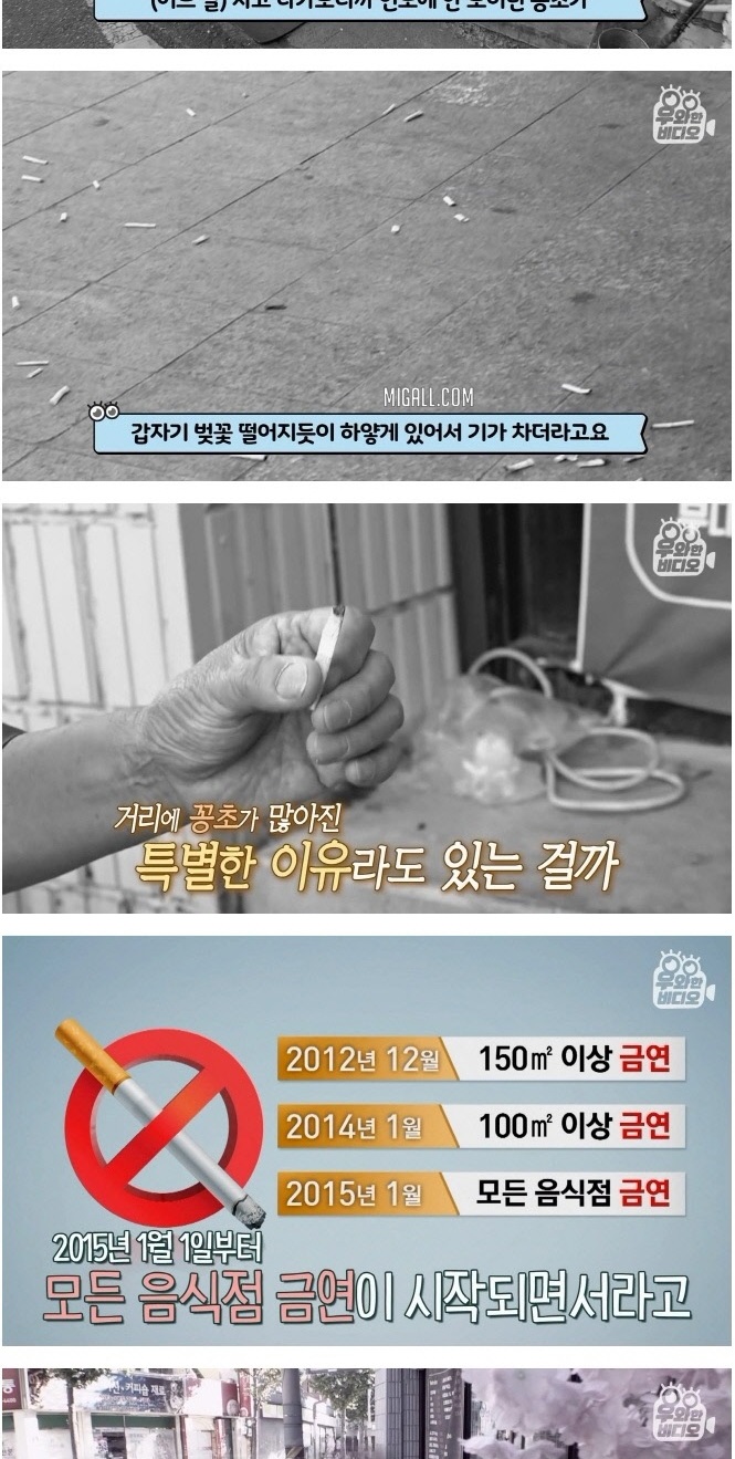 담배꽁초 모으는 수집가