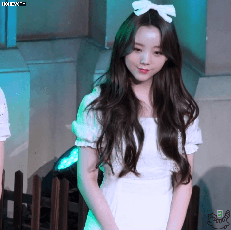 리본 케이