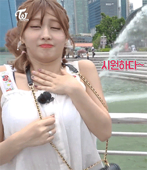모모 꿀꺽