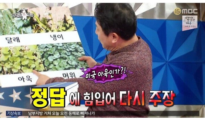 나물박사 곽철용