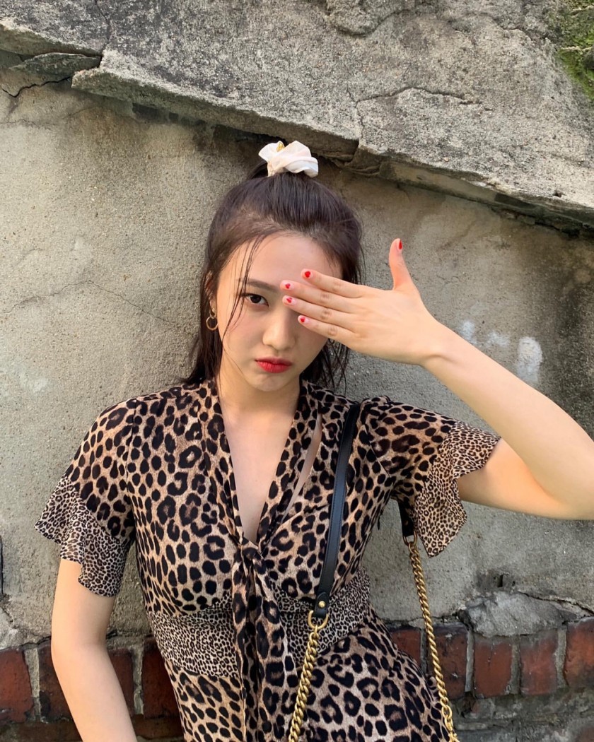 호피 조이