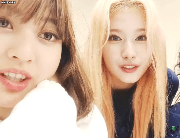 콘서트후 나연 모모 사나 다현 지효