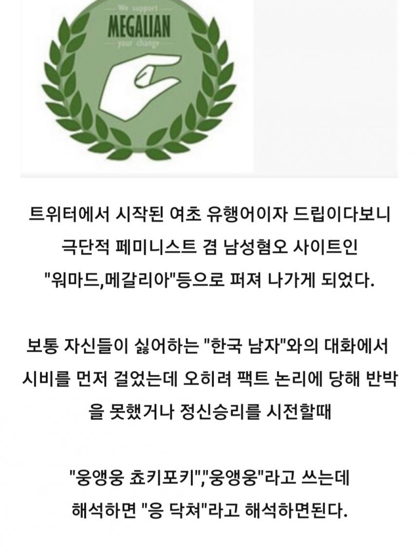 지효 문제의 웅앵웅 드립