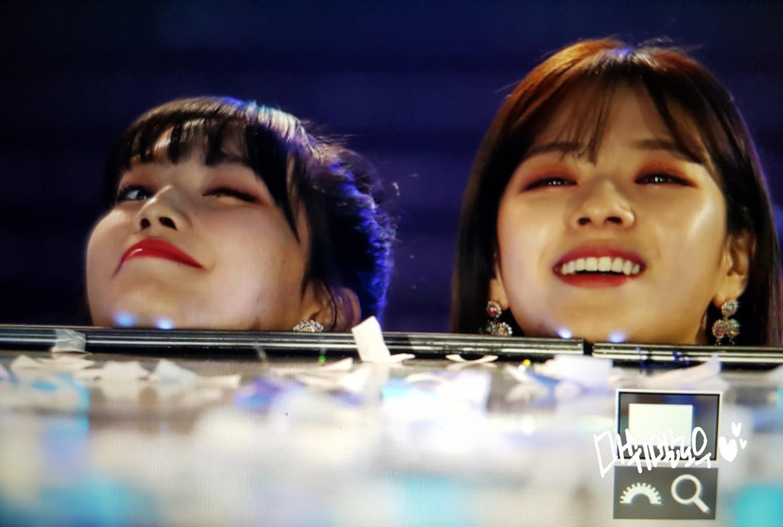 미어캣 트와이스