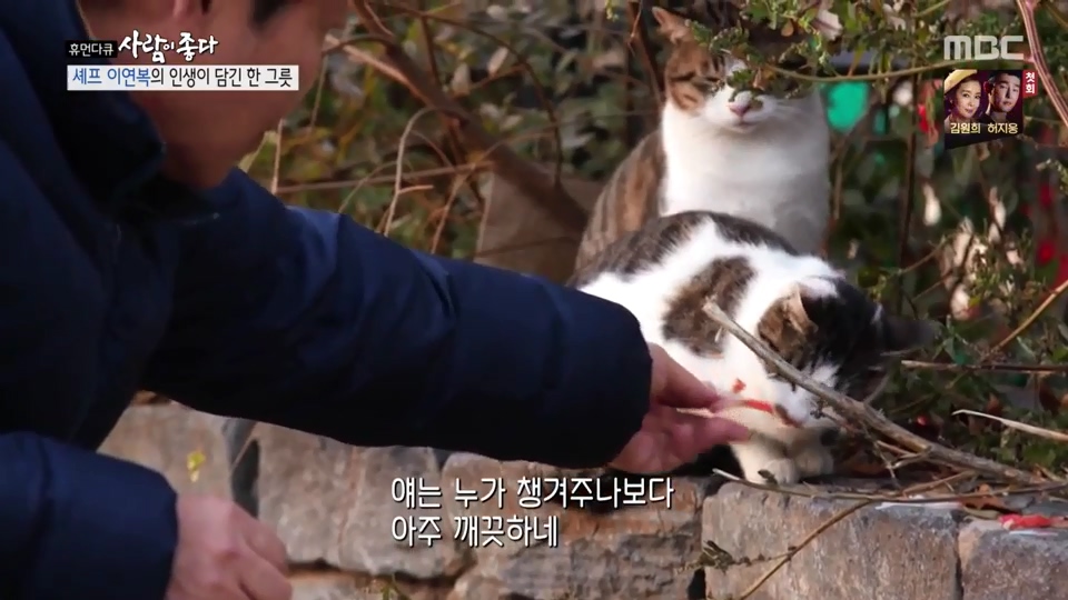 이연복이 먹여살리는 동물들